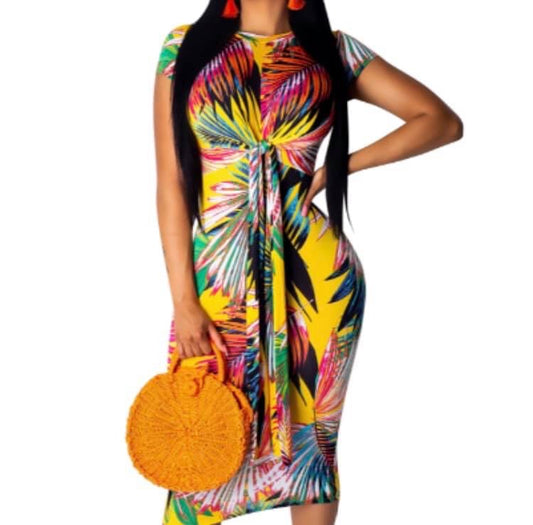 Multi-Color Bodycon Dress